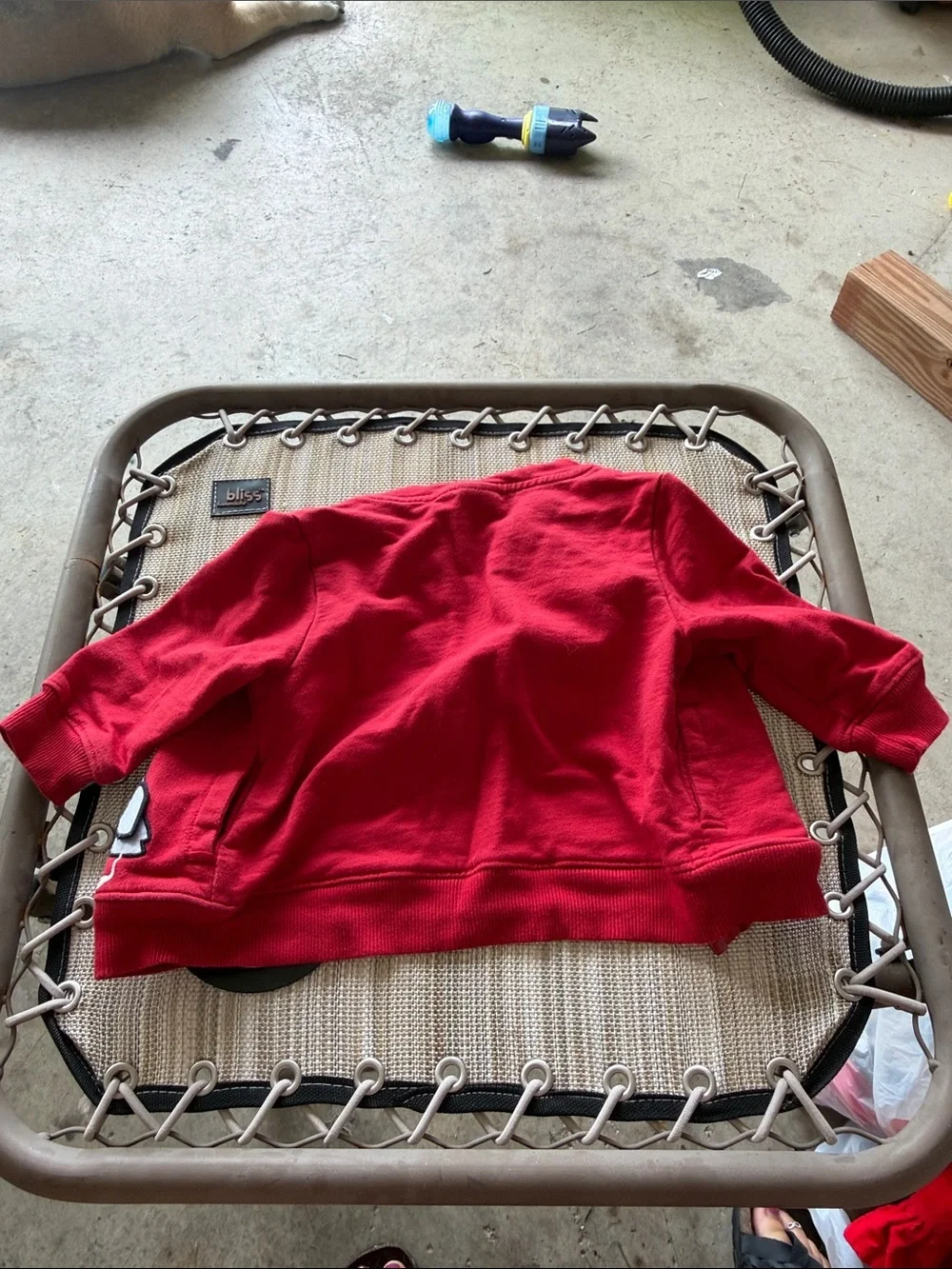Gymboree Red Hooded Zip-Up Sweatshirt with Pelican Patch